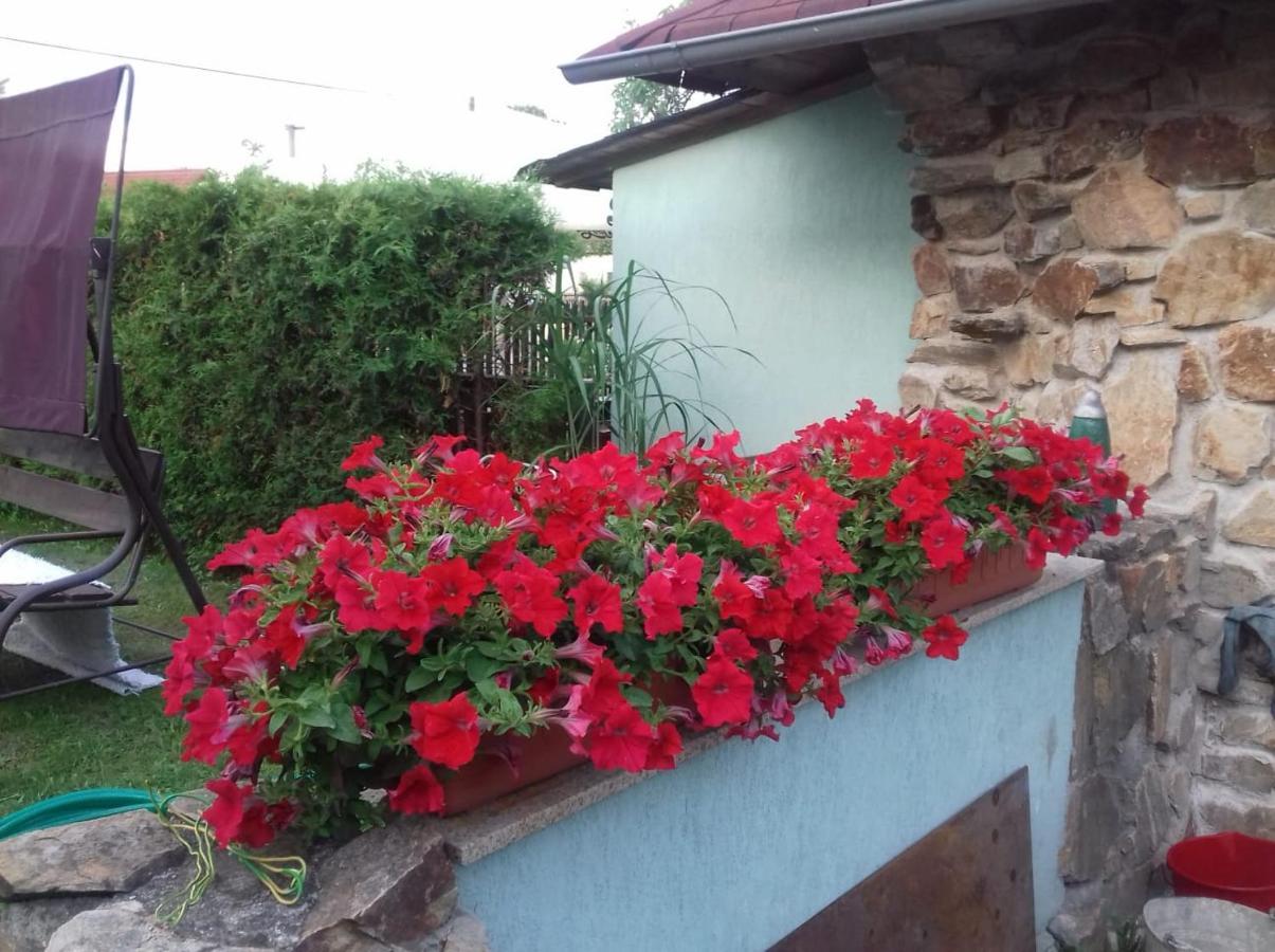 Apartmány na Hlíně Třeboň Exterior foto