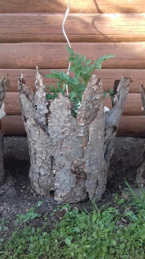 Apartmány na Hlíně Třeboň Exterior foto